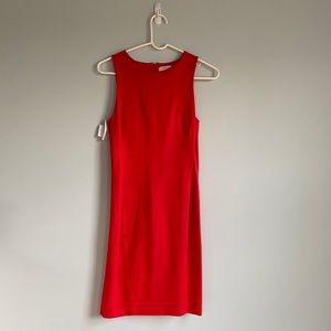 Aritza, Babaton Bodycon Miguel Dress